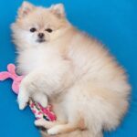 横向きすやすや